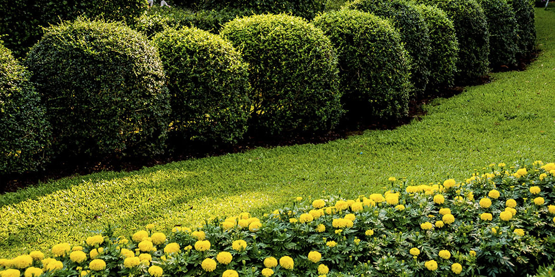 Jardineria para comunidades