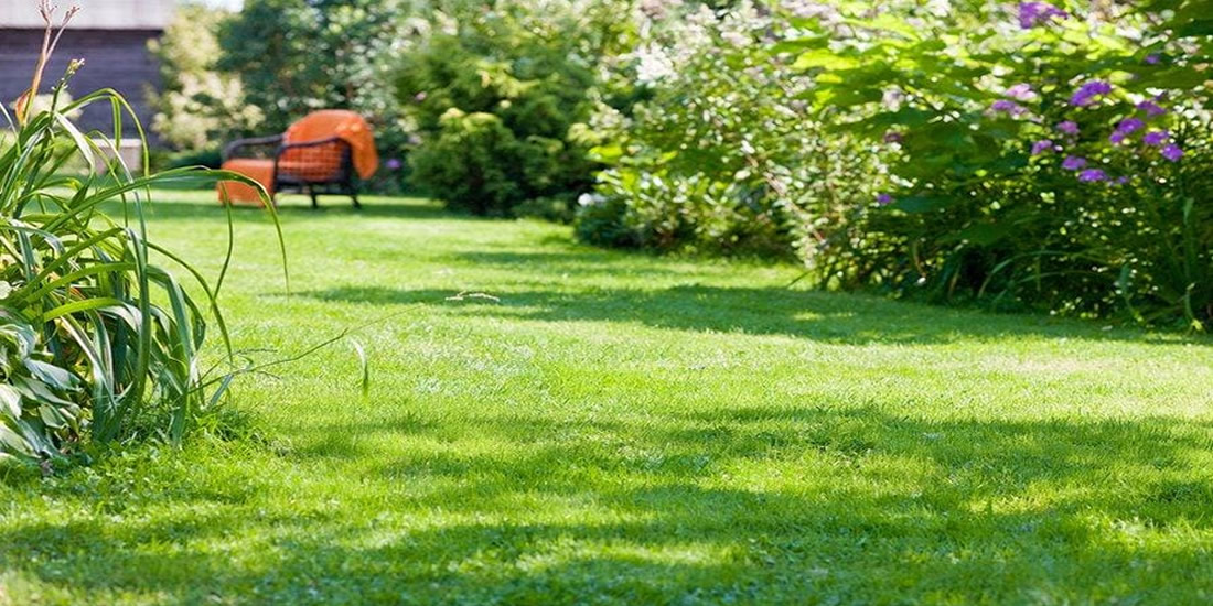Prepacion de jardin en verano