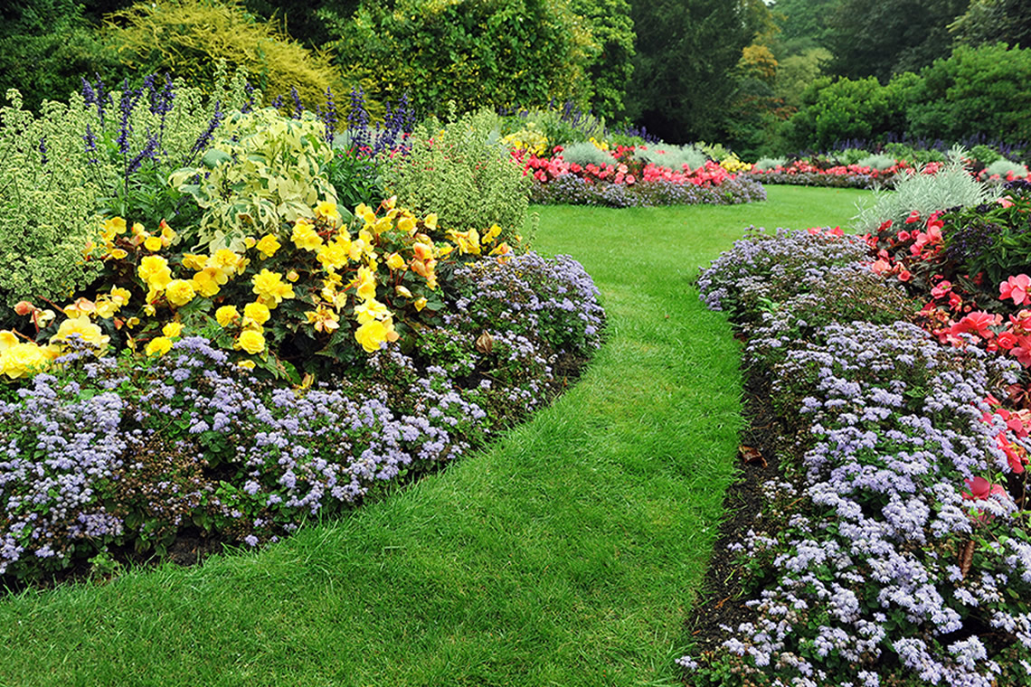 Mantenimiento De Jardinería